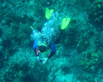 Diving in Costa Maya, Mexico